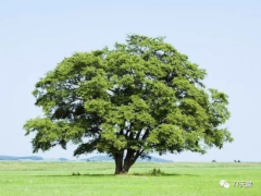 77天赋：以爱之名，却让我们的距离越来越远？