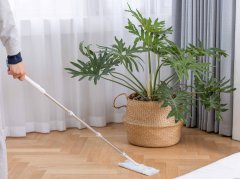 “花”路有你 与花王一起开启独立“鲜”生活
